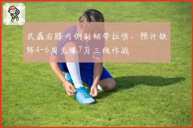 武磊右膝内侧副韧带拉伤,预计缺阵4-6周无缘7月三线作战