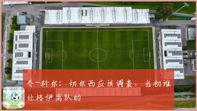 乔-科尔:切尔西应该调查,当初谁让格伊离队的