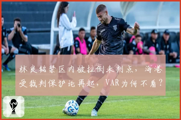 林良铭禁区内被拉倒未判点，海港受裁判保护论再起，VAR为何不看？