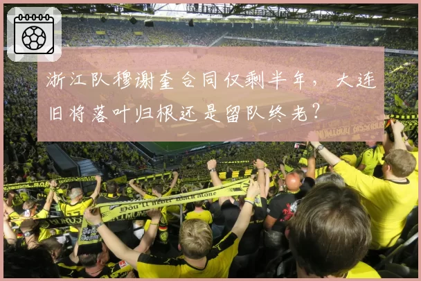 浙江队穆谢奎合同仅剩半年，大连旧将落叶归根还是留队终老？