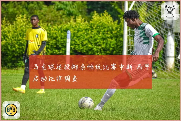 马竞球迷投掷杂物致比赛中断 西甲启动纪律调查