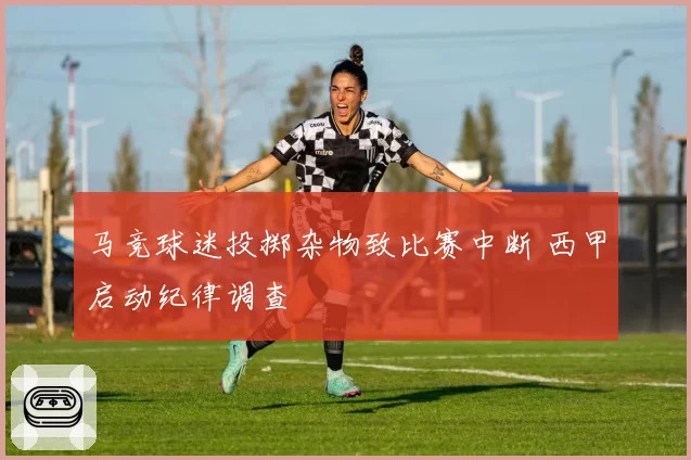 马竞球迷投掷杂物致比赛中断 西甲启动纪律调查