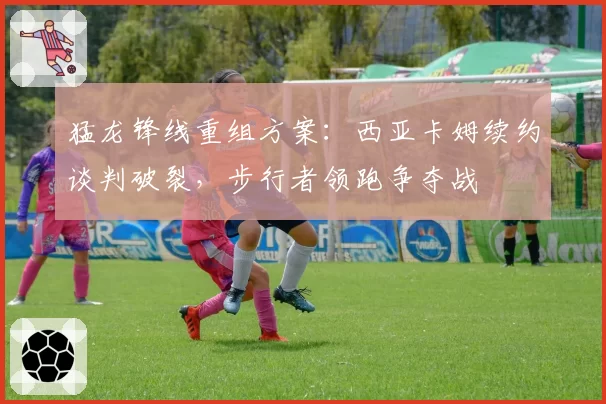 猛龙锋线重组方案：西亚卡姆续约谈判破裂，步行者领跑争夺战