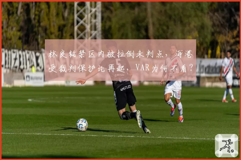 林良铭禁区内被拉倒未判点，海港受裁判保护论再起，VAR为何不看？